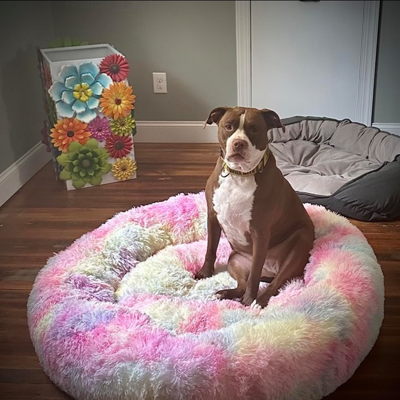 Fur Round Container calming bed Deluxe Super Plush Pet Bed
Approx 24x24” - Picture 2 of 3